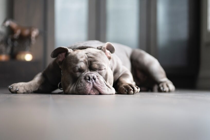 Soll man mit begründet Glauben die schlafenden Hunde des Zweifels wecken?